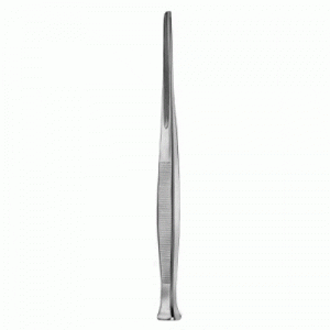 Bone Chisels Gouge